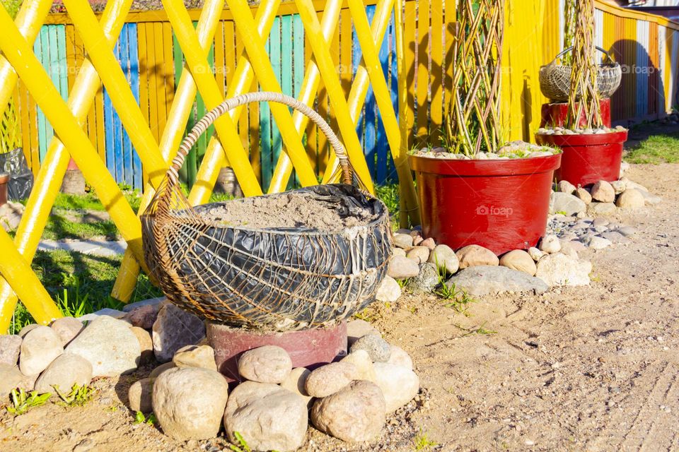 A flower bed made with your own hands in a basket on the background of a yellow fence.