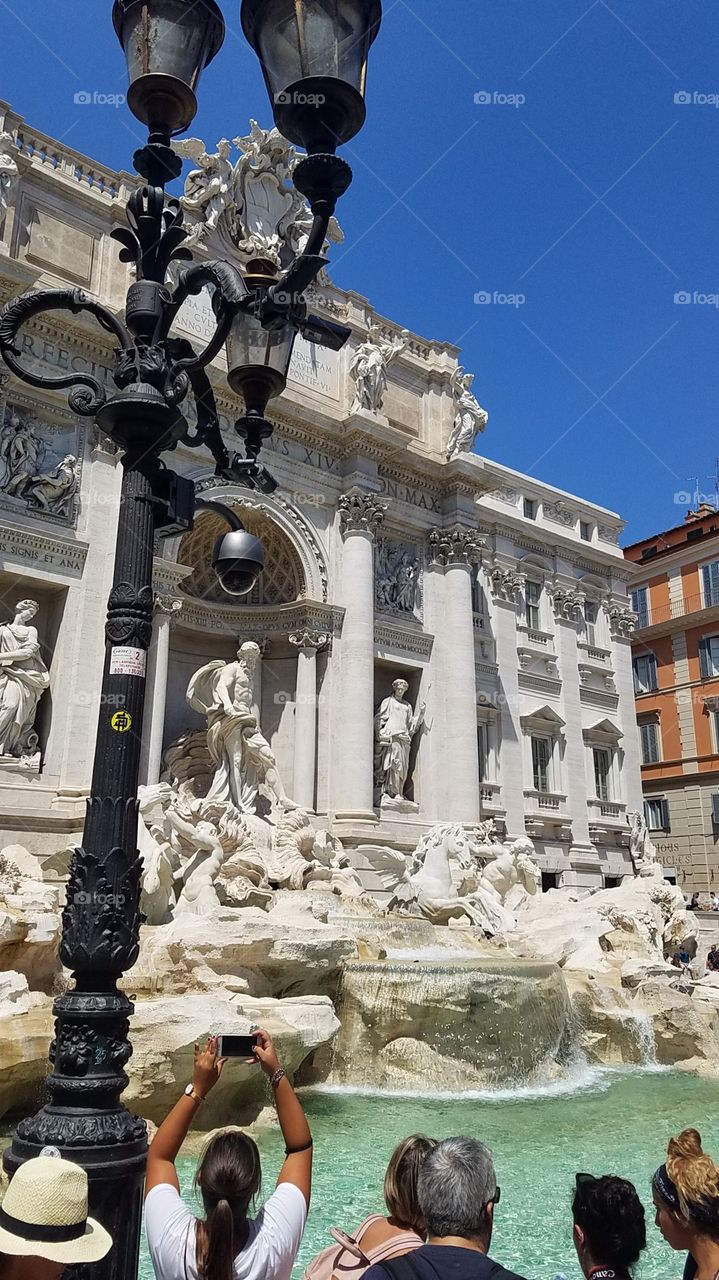 fontana di trevi