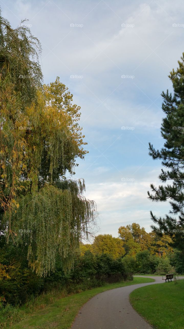 trial at battle creek park