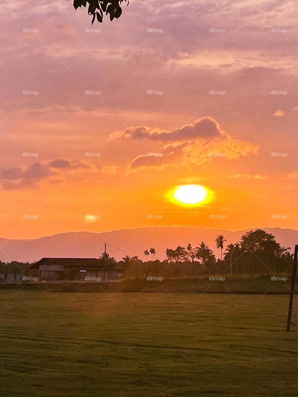 Pinkish sunset view at the wide filed area