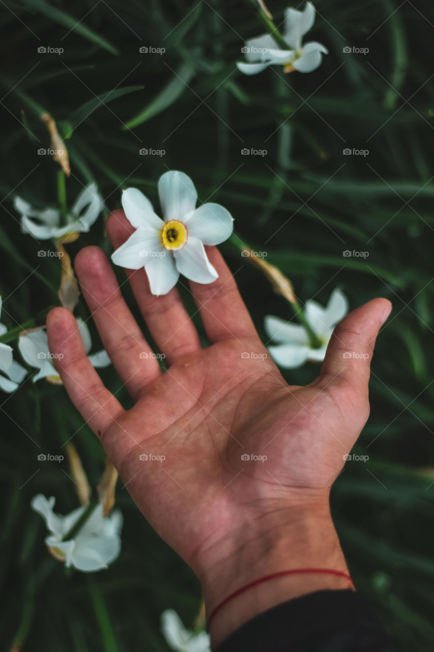 Bond between humanity and nature