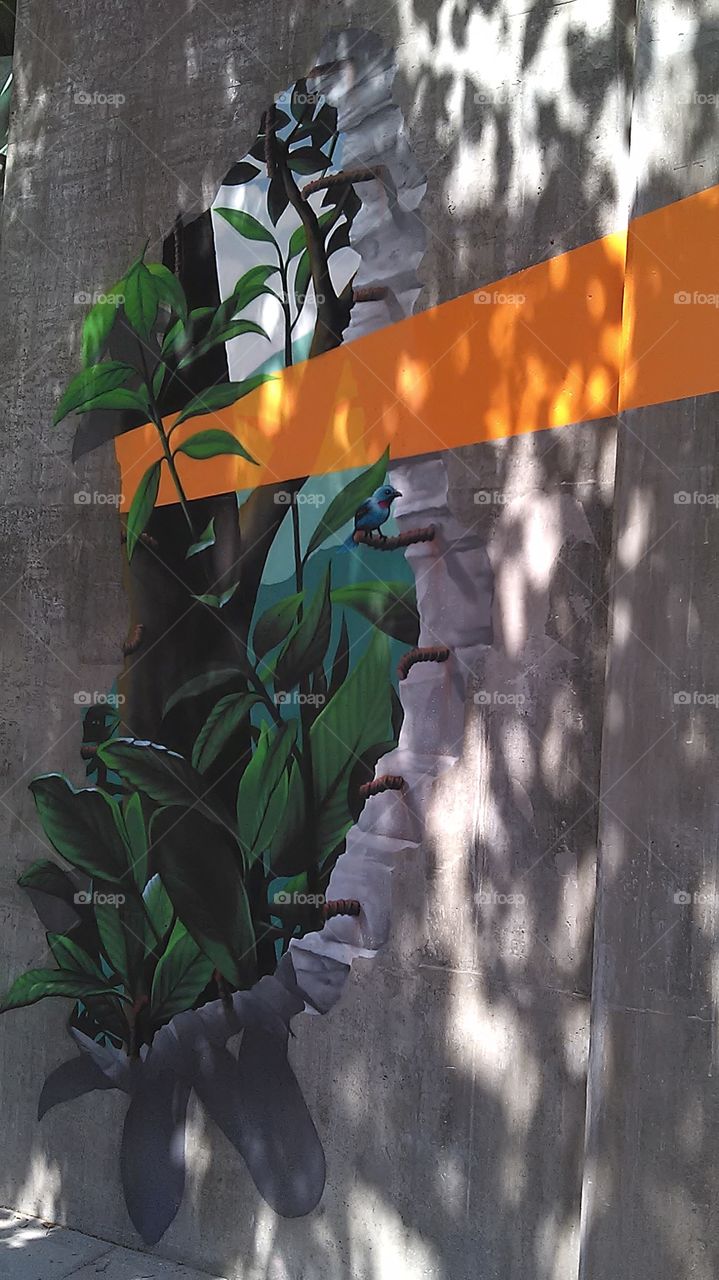 Bluebird. I'll for a ride on my bike