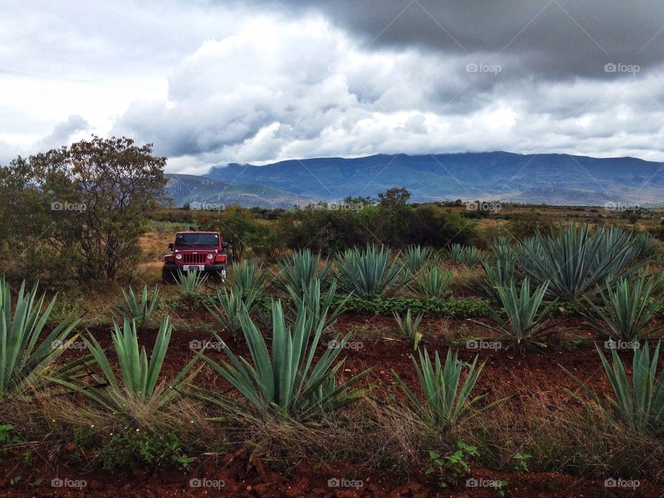 Off roading maguey fields in Oaxaca Mexico