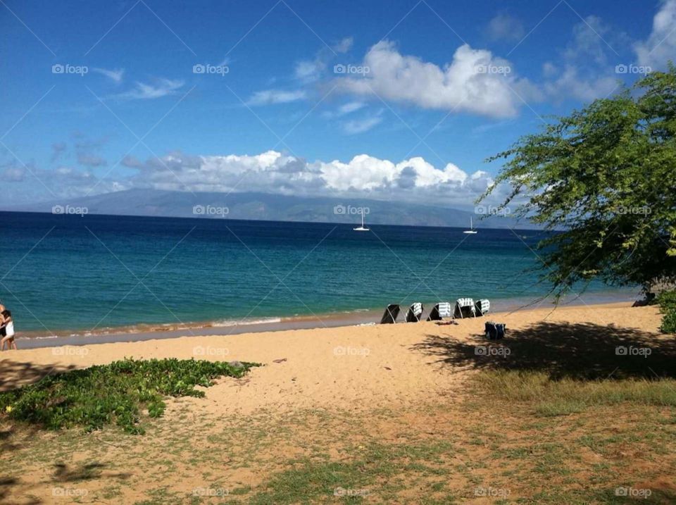 Beach. Maui 