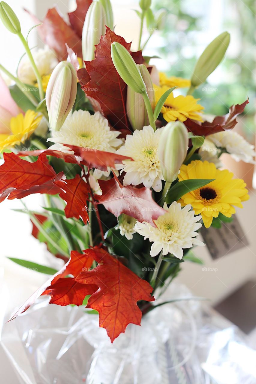 Flowers in a vase collection of red yellow and white 