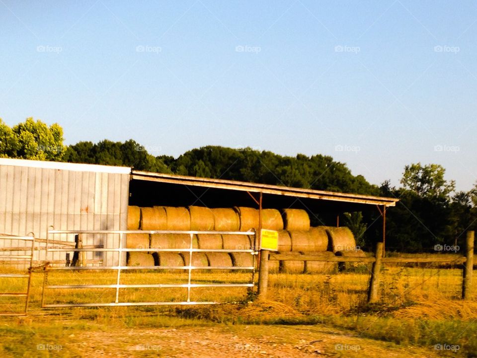 Hay barn 