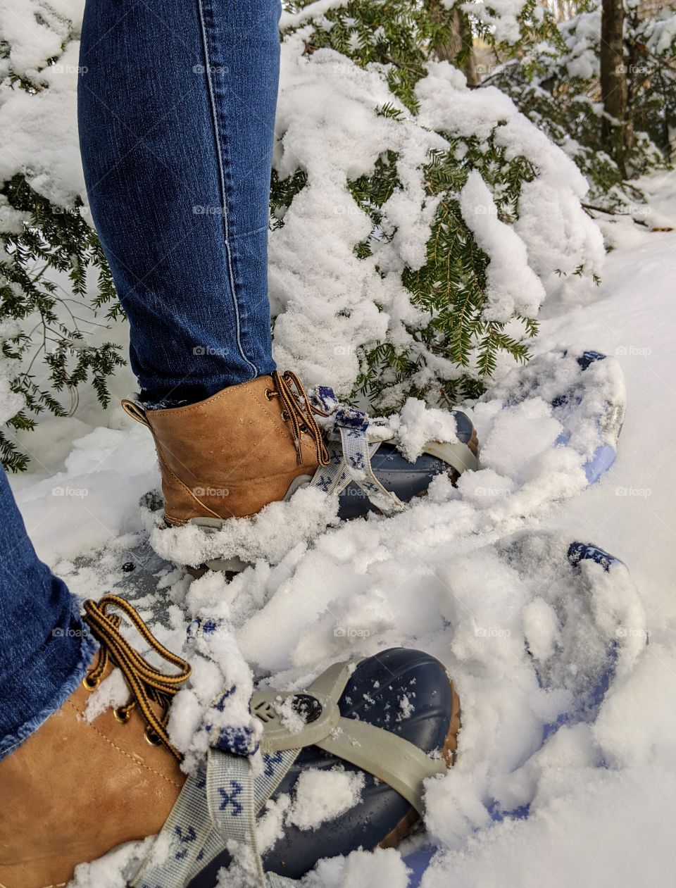 snowshoeing