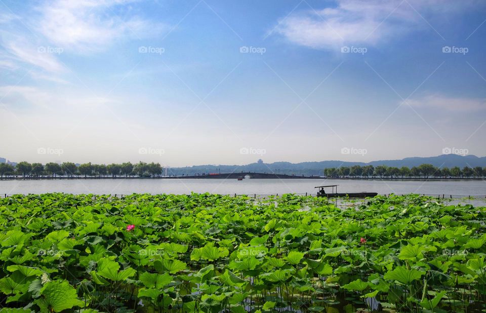 WestLake of HangZhou