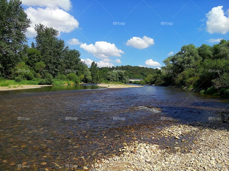 River in summer