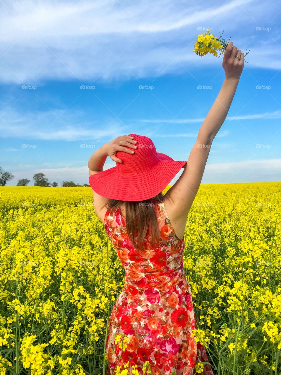 Back of woman in a canola field wearing red dress and red summer hat and holding canola flowers in her hand