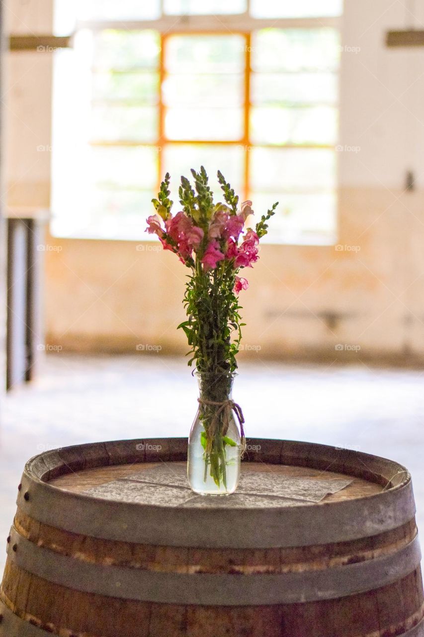 flowers in pot