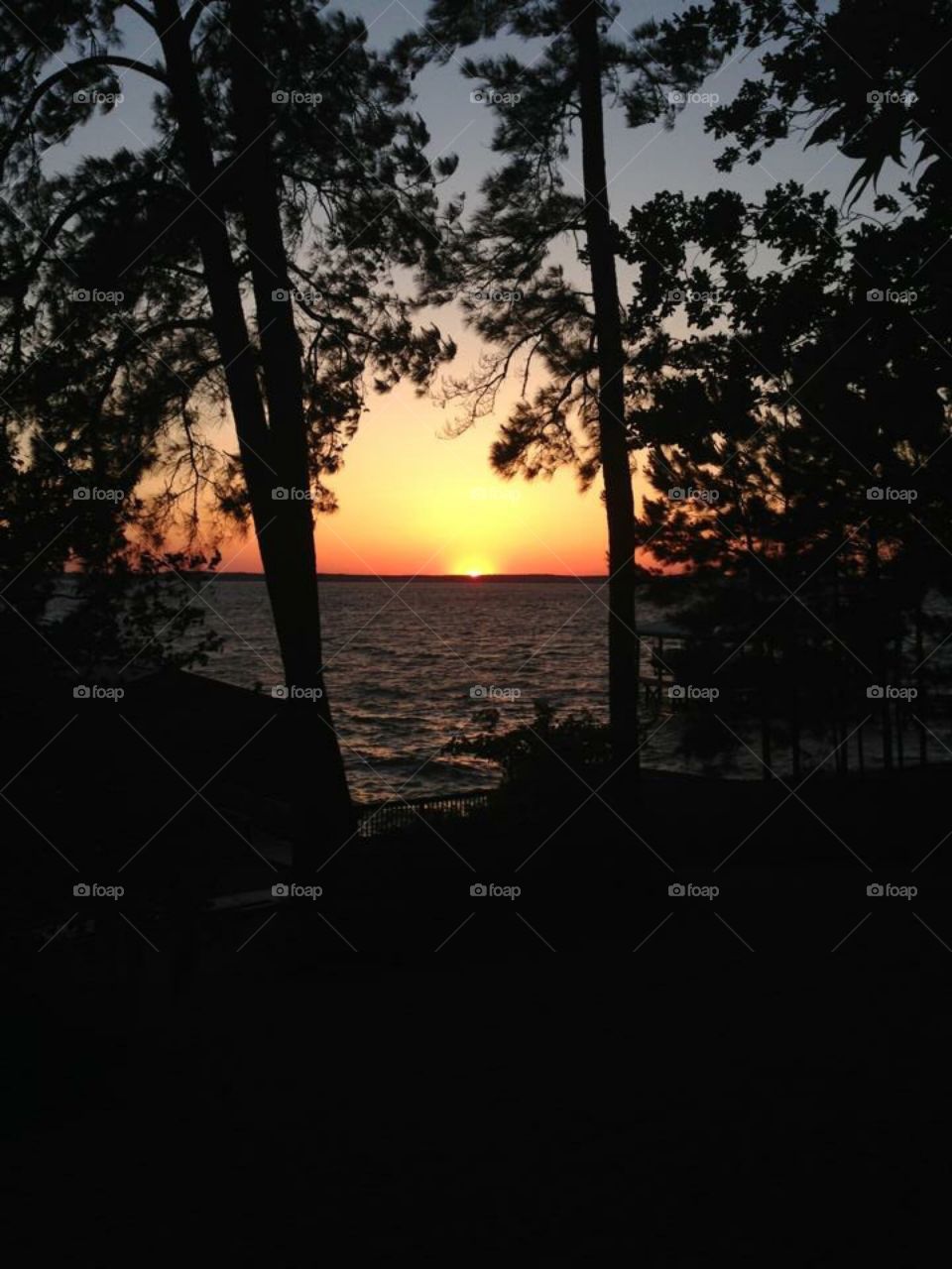 Peek a boo. Just a beautiful time of evening