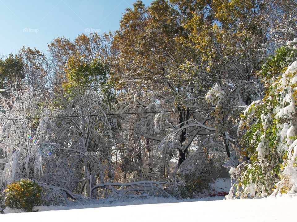 First snow 