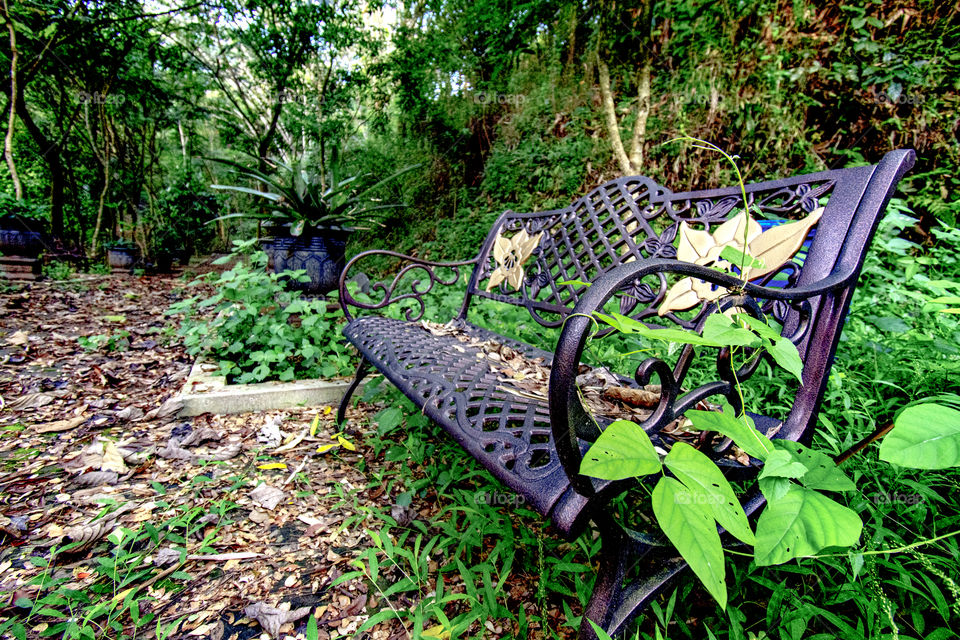 landscape at the garden