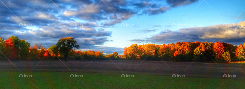 Sun setting on fall colors