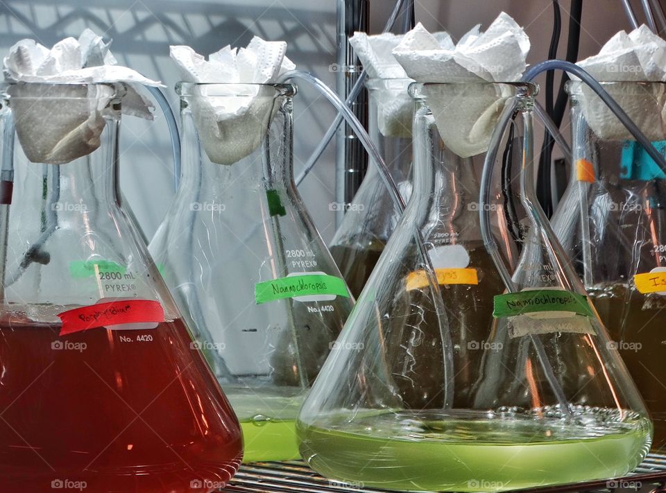 Chemistry Experiment. Colorful Fluids Flowing Into Chemical Beakers
