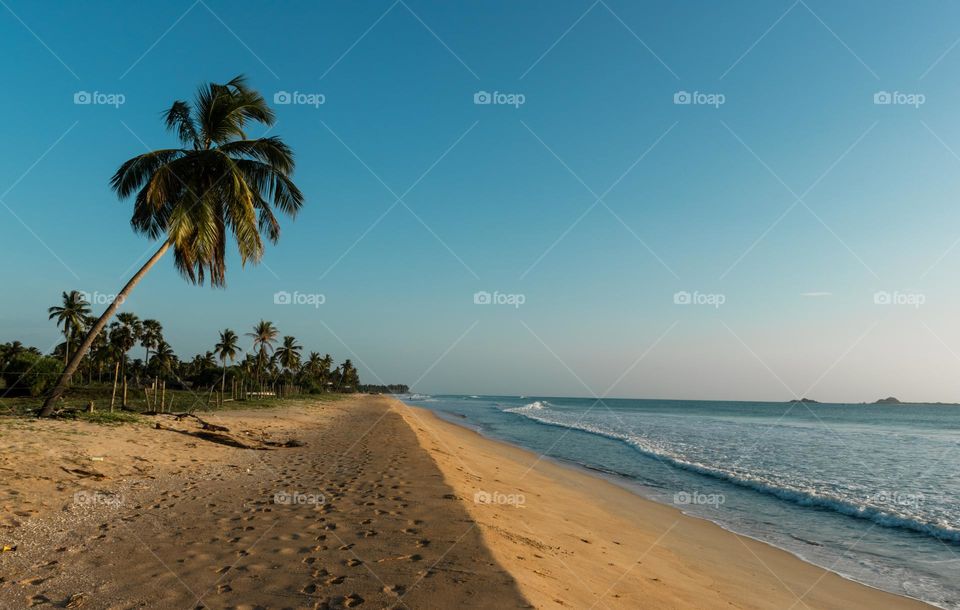Sun is out. So are we. Enjoying perfect sunny, sandy beaches of Sri Lanka on a perfect summer morning.