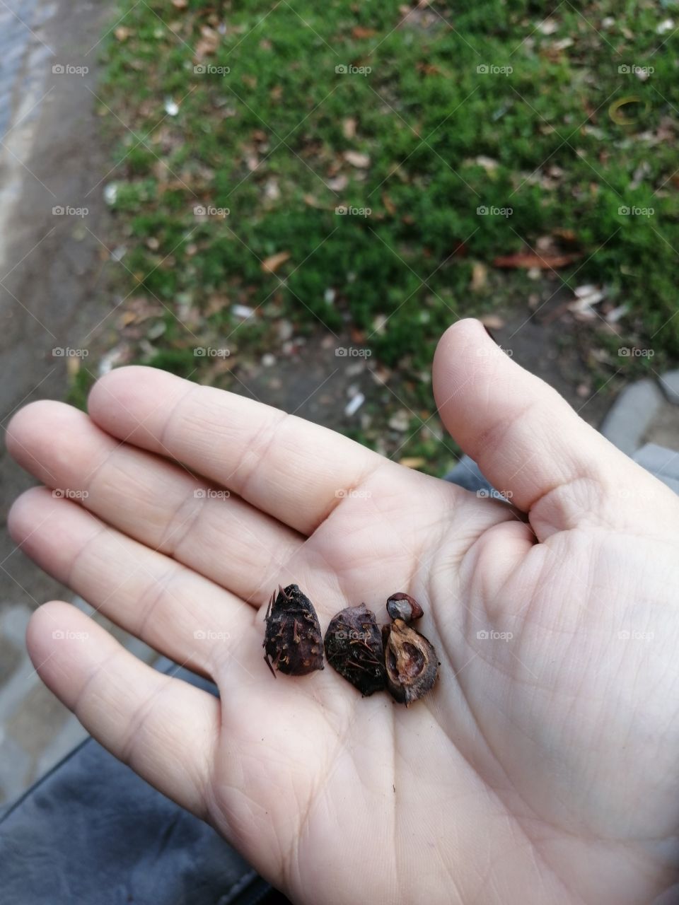 A little nutty