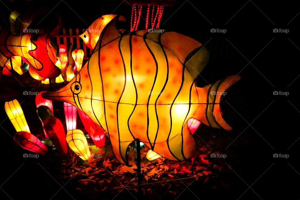 Chinese Lantern Festival