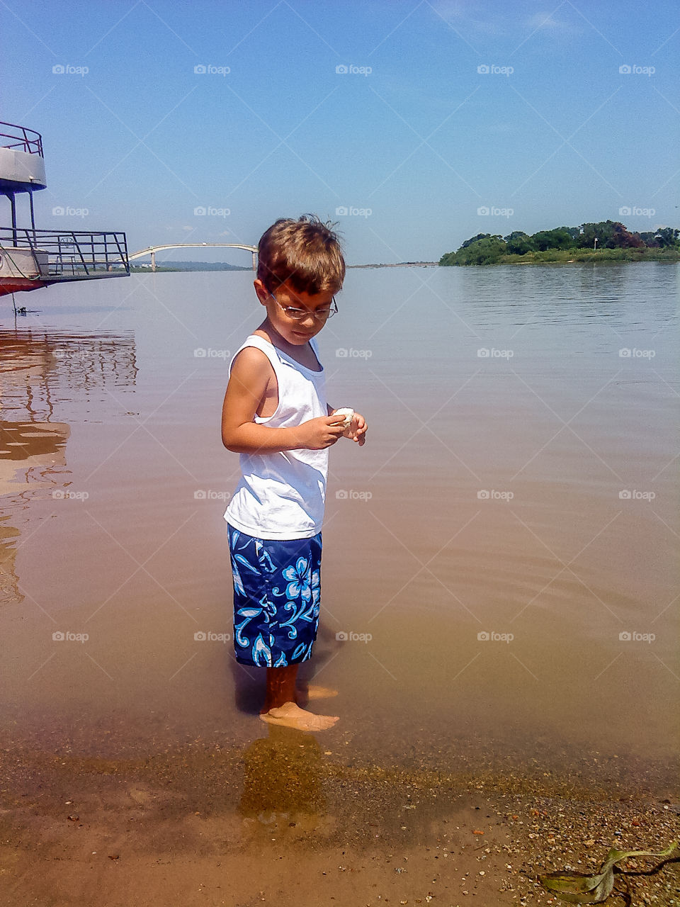 Close-up of standing in water