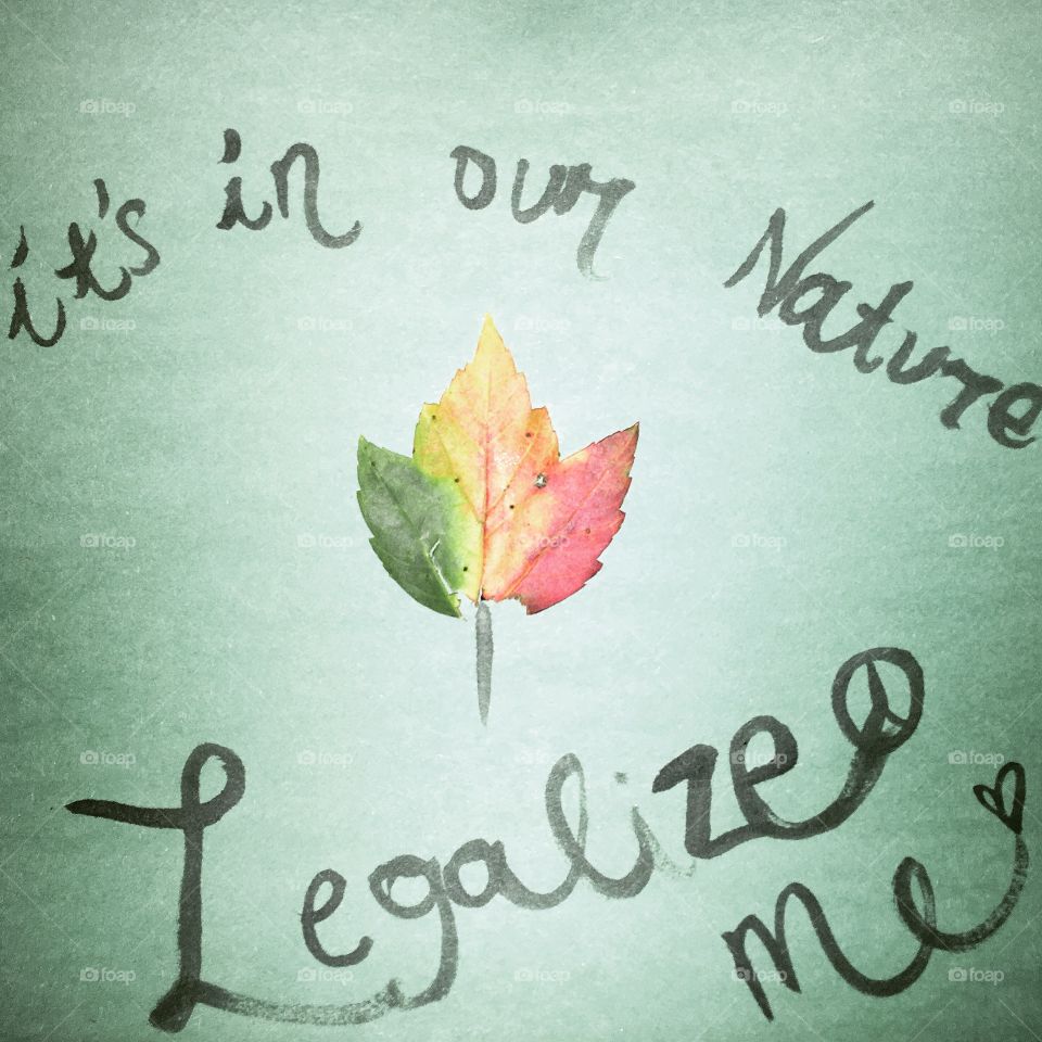 Legalize this / 420 happened 