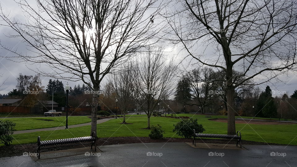 bench in the park