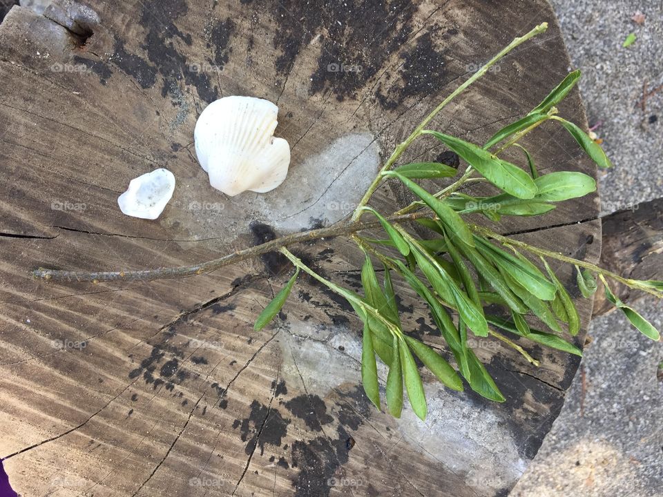 Imperfectly beautiful