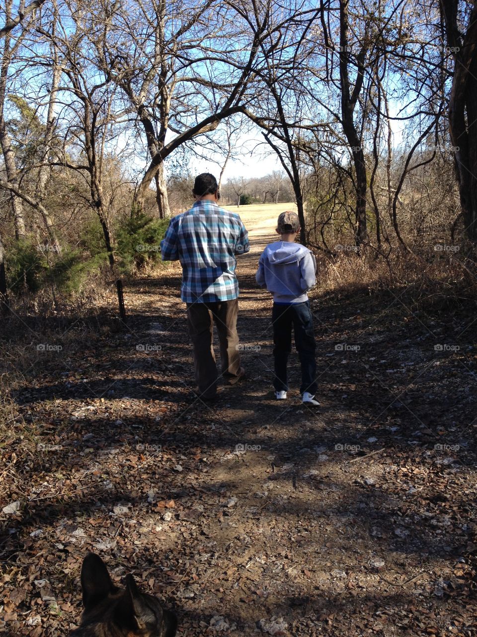 Father and son walking down a wooded path