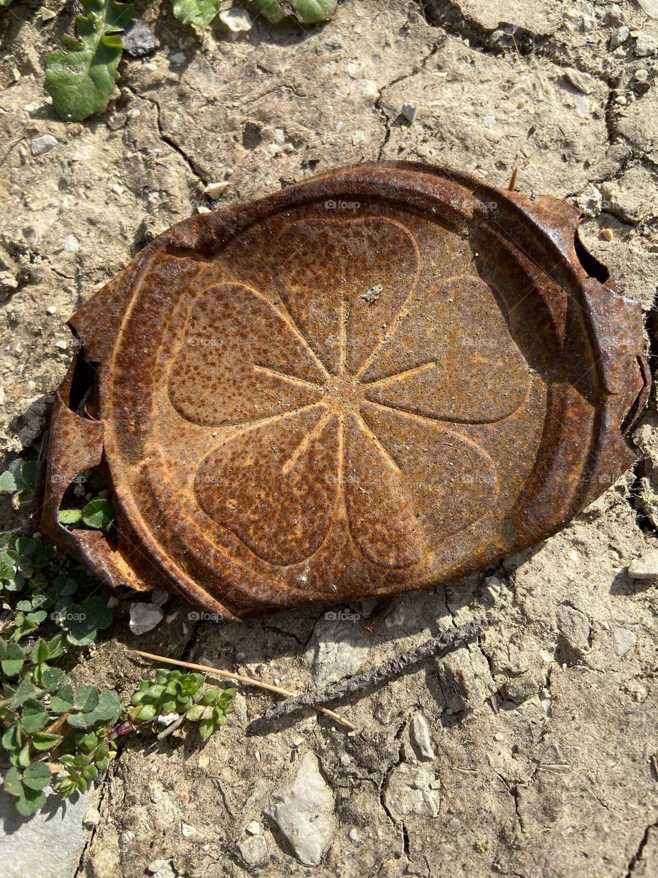 The surprise flower pattern discovered on an old rusty can found on the ground.