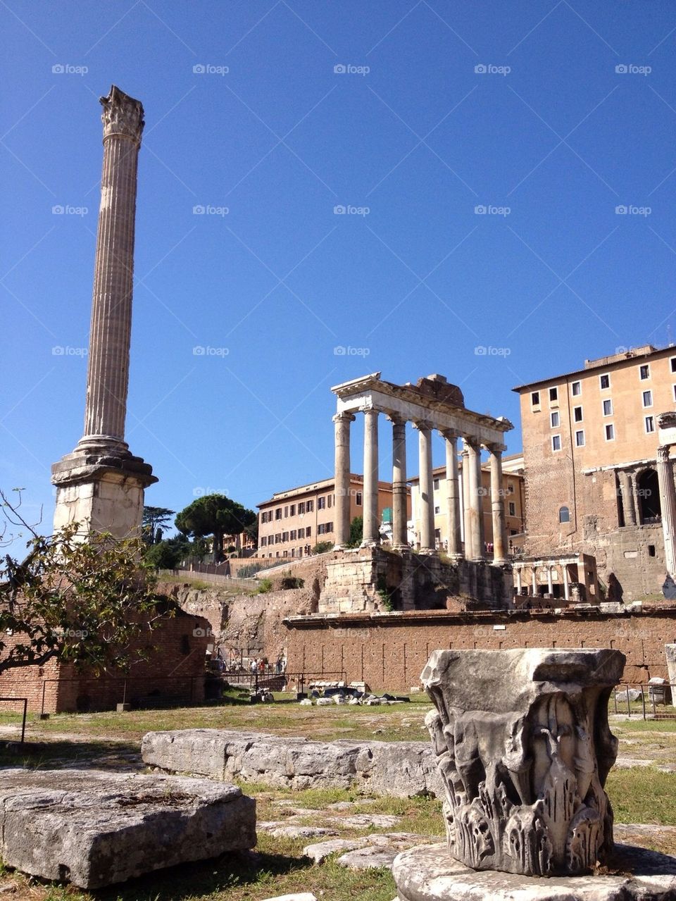Foro Romano, temple, Roma, italy