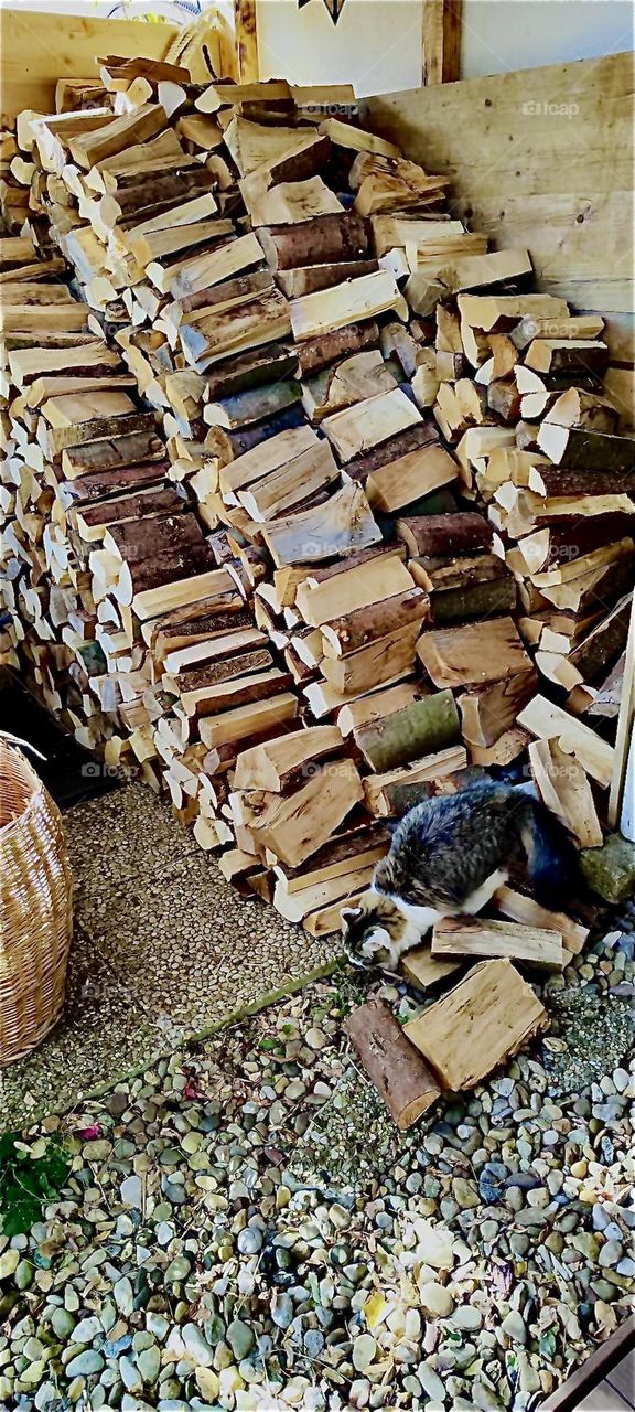 This is the result of hours of piling the wood delivery from the „Bayerischer Wald“, the Bavarian forest. The logs are neatly stacked against the wall in four rows. For stability they are also stacked against each other. 2023. Hypnotic Productions