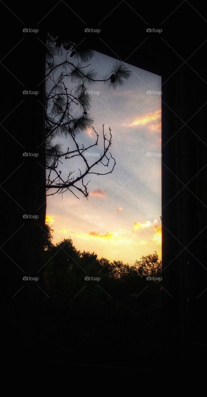 sunset at the window