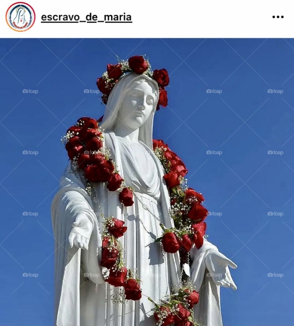 🙏 🇪🇸 Oh Maria, ruega por nosotros que recurrimos a ti.  Amén.  🇧🇷 Ó Maria, Nossa Senhora, rogai por nós que recorremos a vós. Amém. / 🇺🇸 O Mary, pray for us that we turn to you.  Amen. / 🇮🇹 O Madonna, prega per noi che ci rivolgiamo a te. Amen.