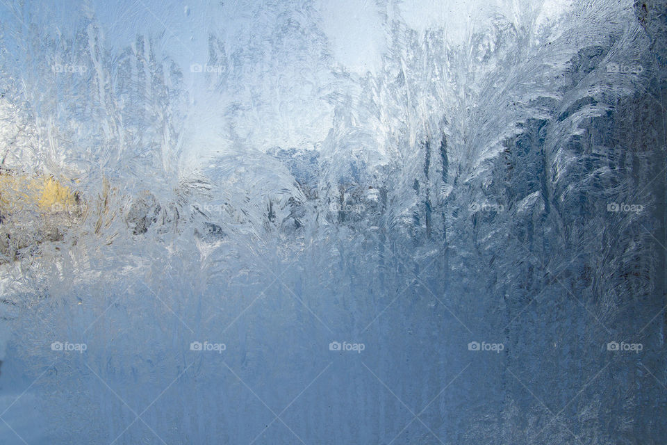 Frozen window