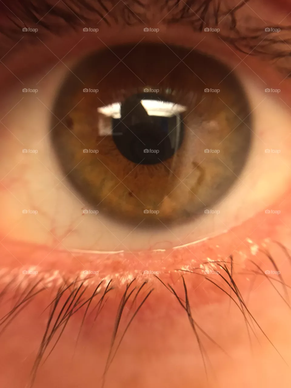 Brown eye