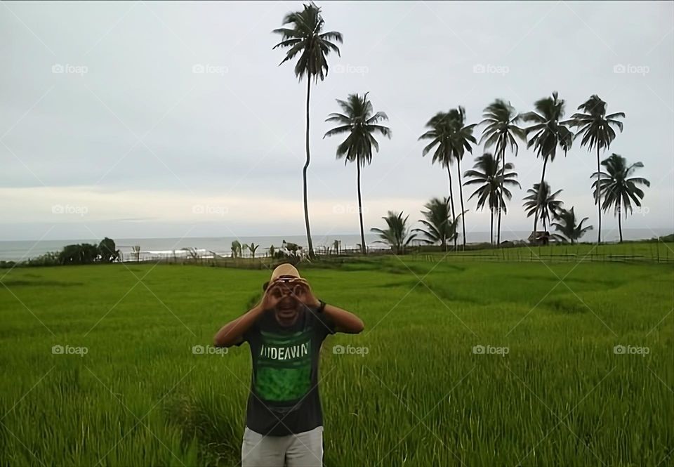 Bengkunat Coastal Rice Fields, West Lampung, Sumatra Indonesia