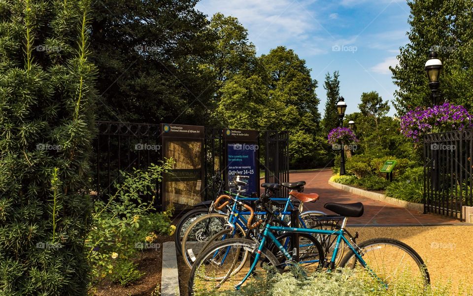 Bicycles in a garden