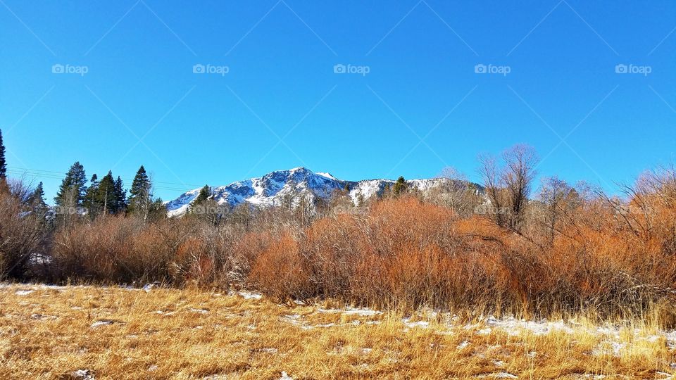 Winter mountains