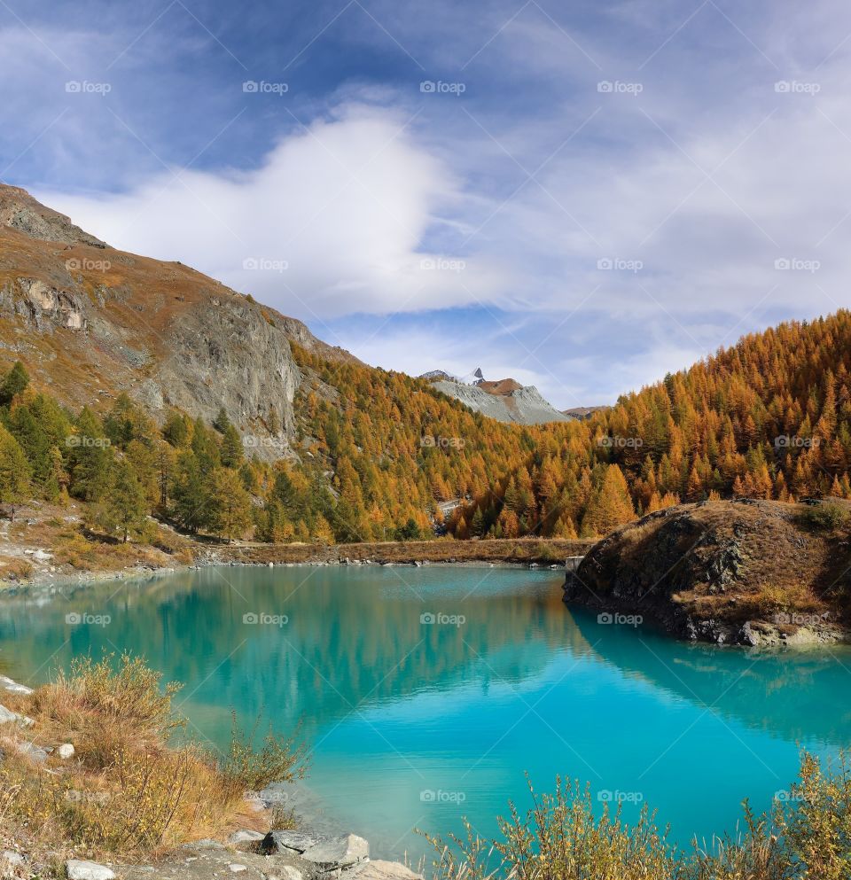 Turquoise mountain lake in Zermatt with orange larch trees. Beautiful autumn colors.