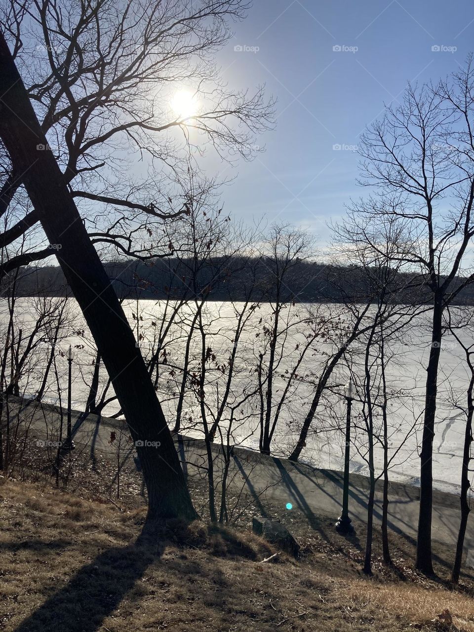 Sun poking through tree silhouettes 