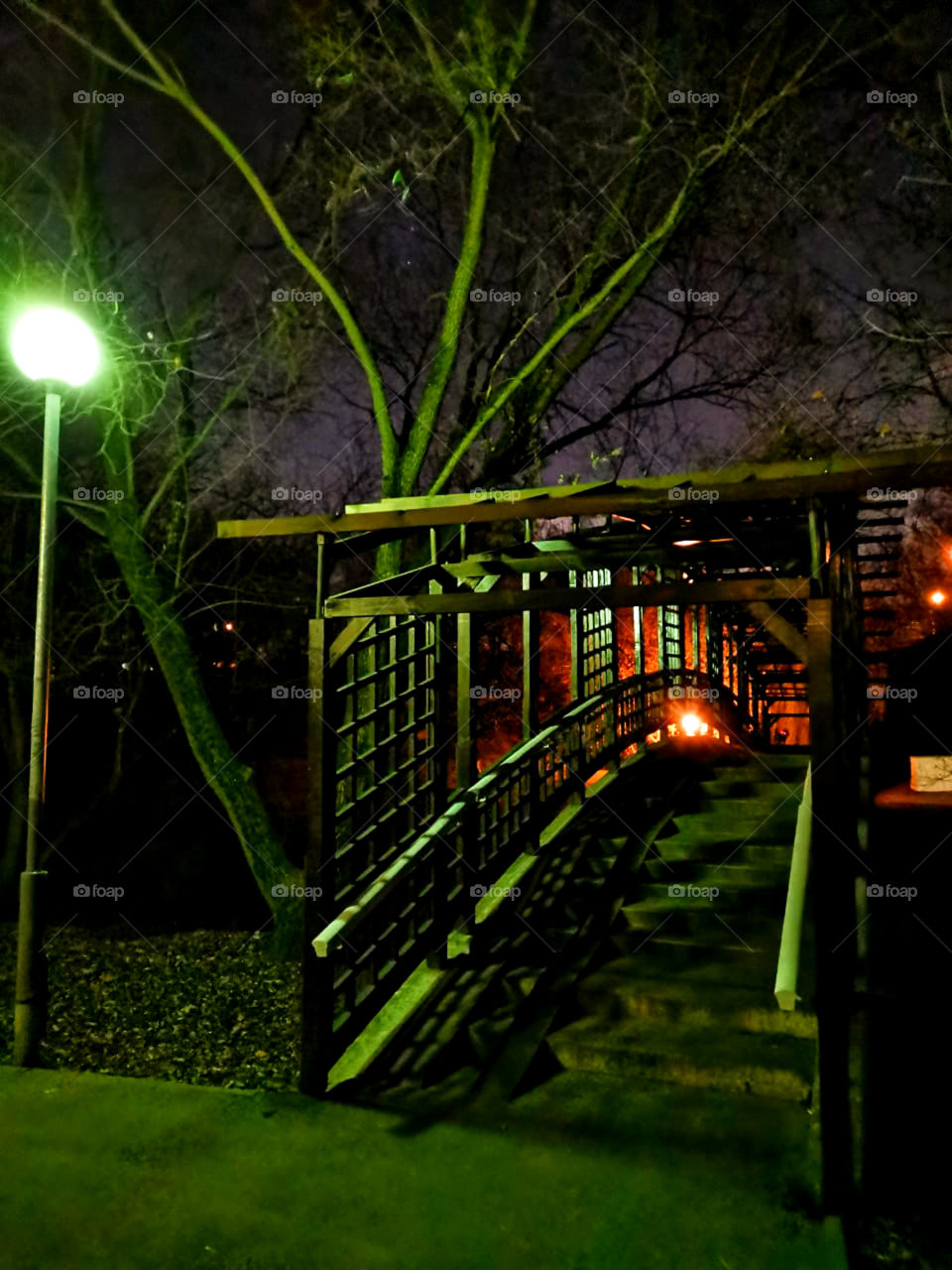 Night.  Green space.  Crossing bridge