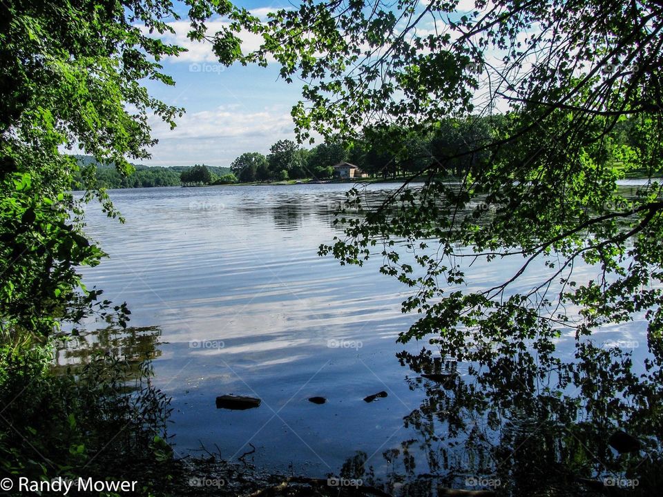 Water, Tree, Reflection, Nature, Lake