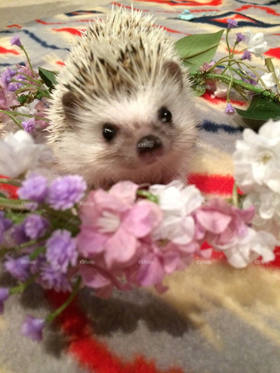 Stop and smell the roses 