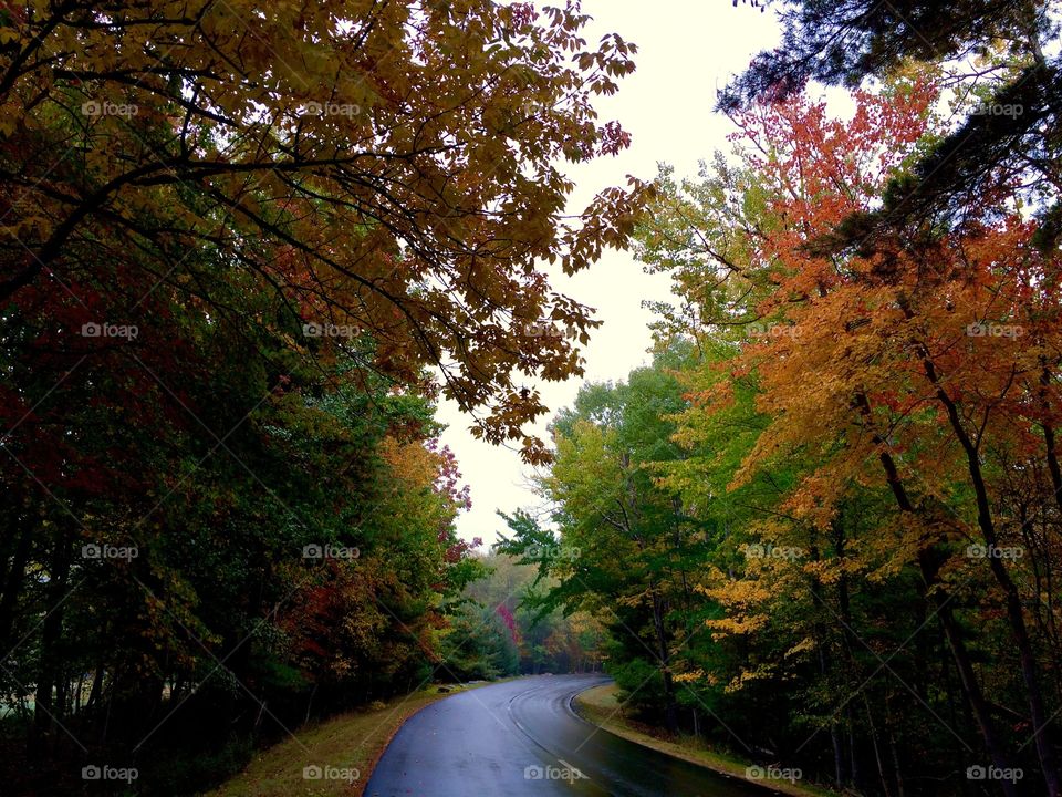 Acadia National Park
