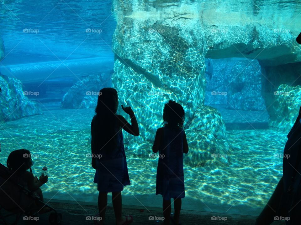Mystery. Backs of two girls looking into a large aquarium back lite by blue light 