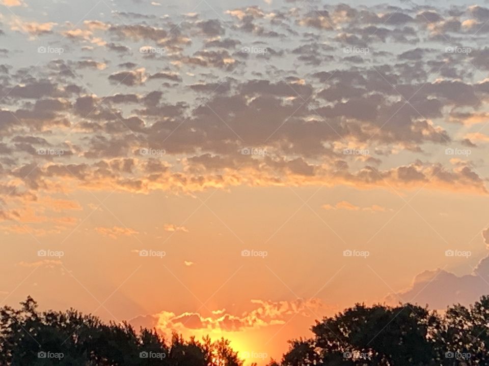 Striated, mauve, popcorn clouds in a brilliant orange sky above a blazing sun and silhouetted treetops - landscape