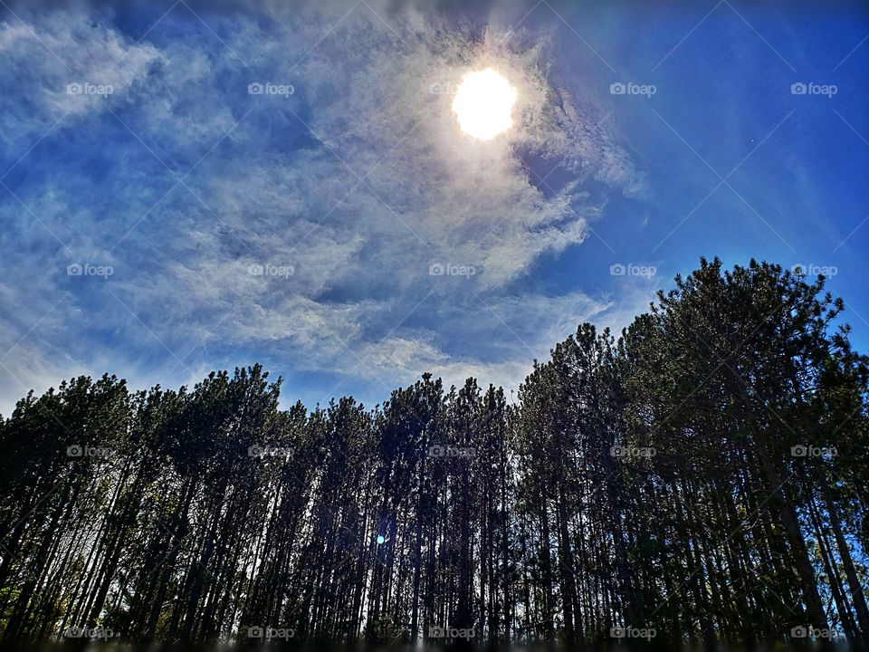 Loving Pure Michigan. Mother nature is beautiful.