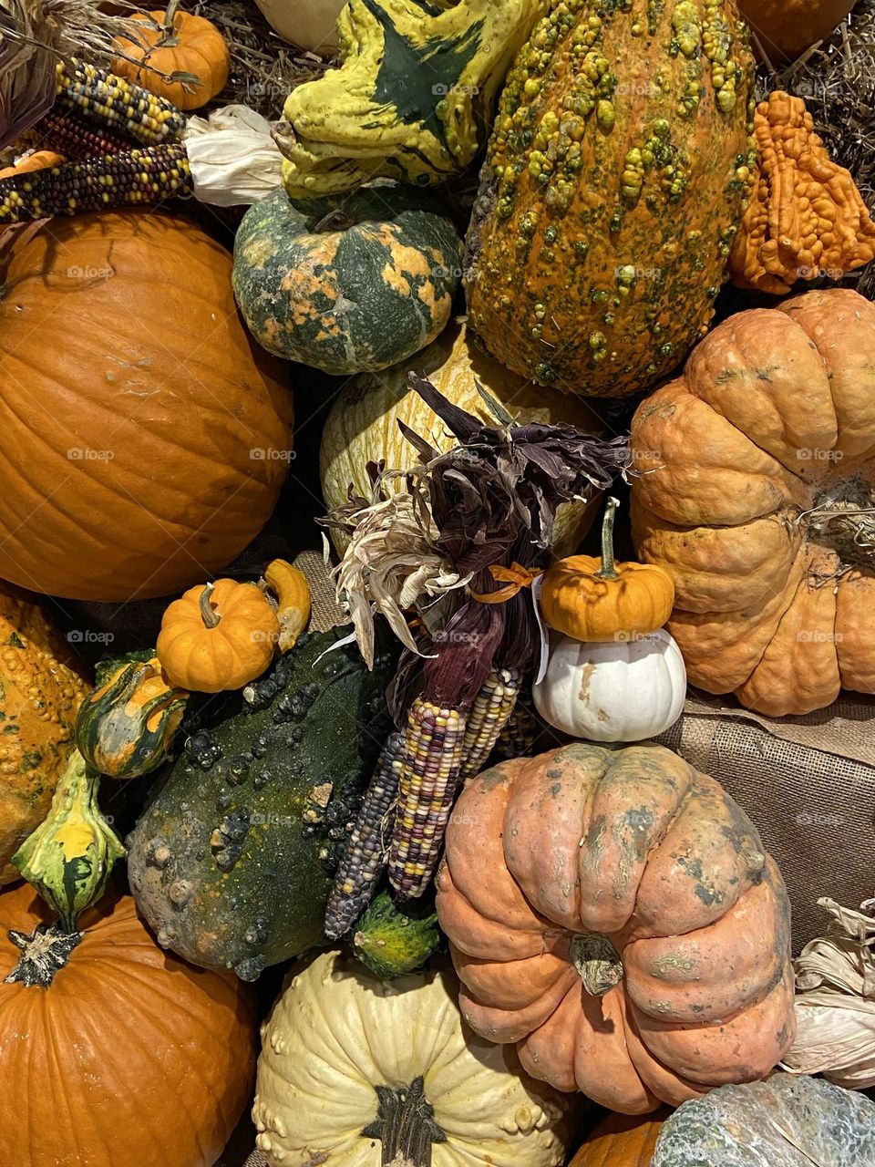 Many shapes and sizes