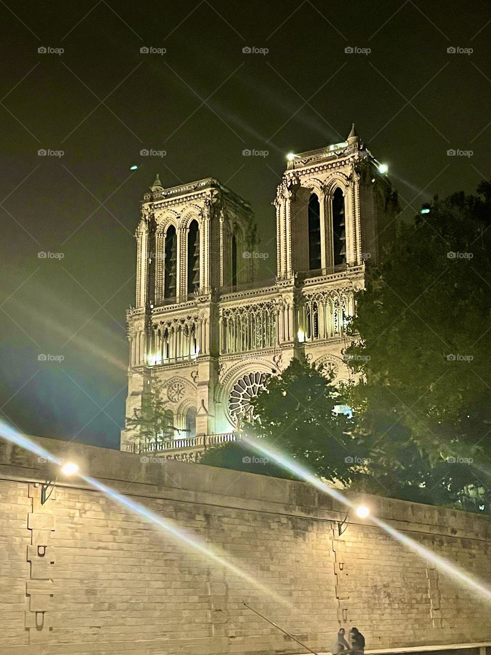 Notre dame 