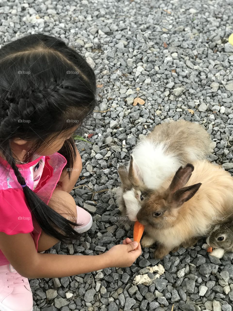 Feeding a rabbit.